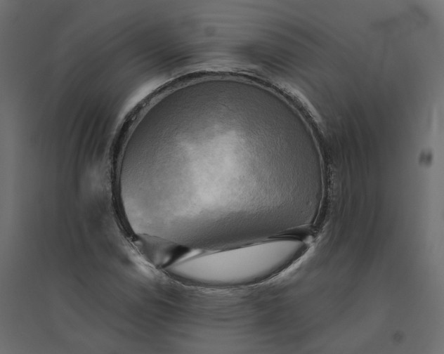 X0000094421114200711211404