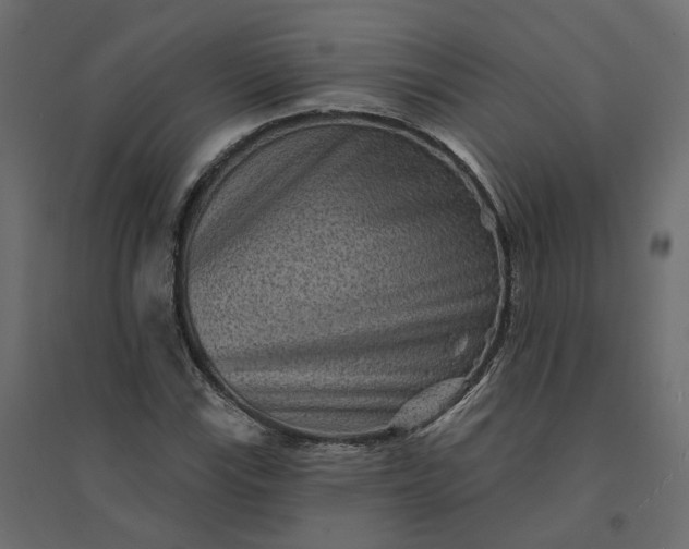 X0000094421115200711211404