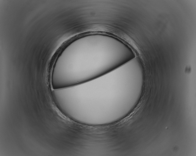 X0000094421116200711211404