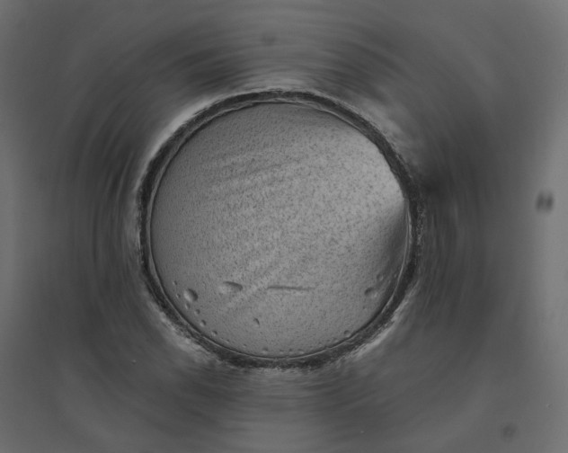 X0000094421118200711211404