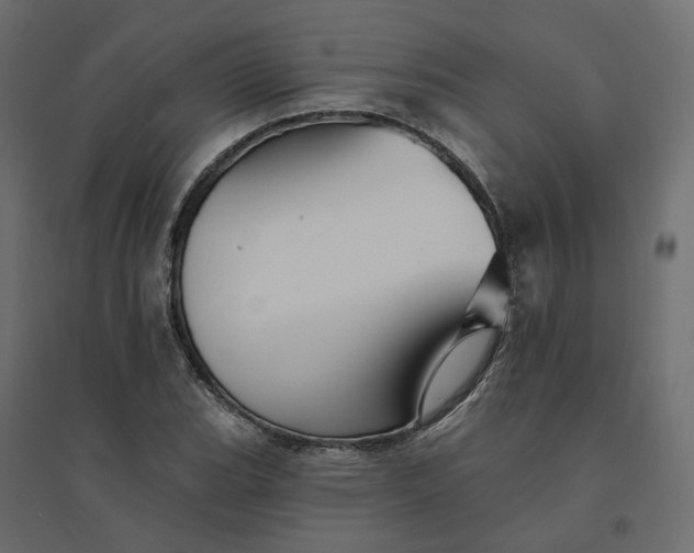 X0000094421119200711211404