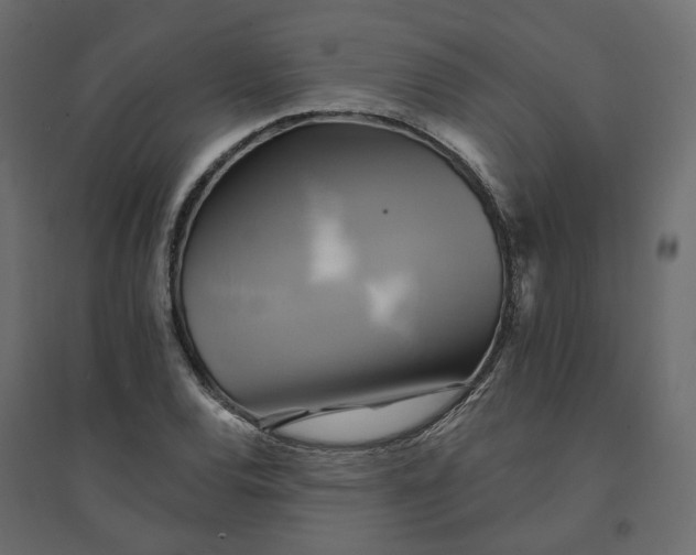 X0000094421120200711211404