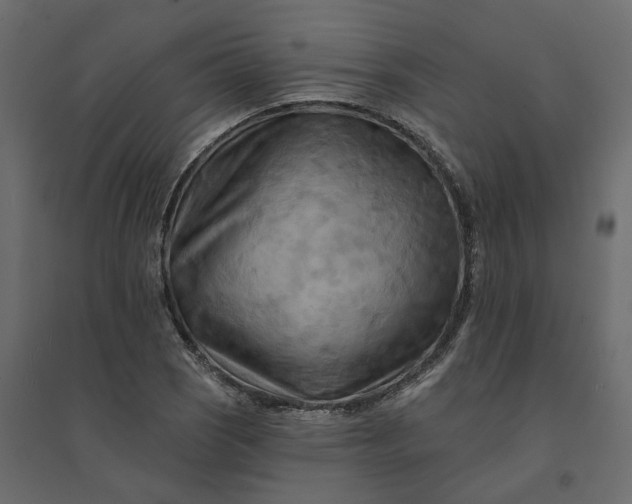 X0000094421121200711211404