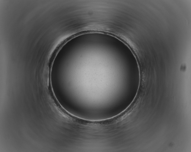 X0000094421123200711211404