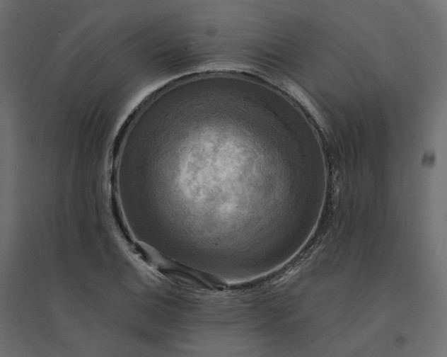 X0000094421124200711211404