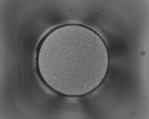 X0000094421126200711211404