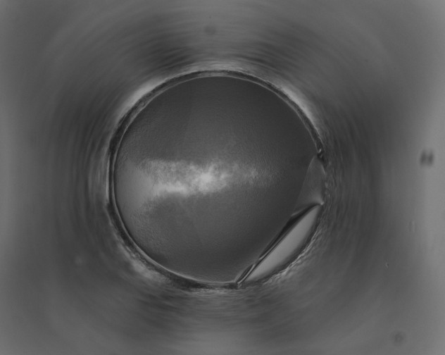 X0000094421127200711211404