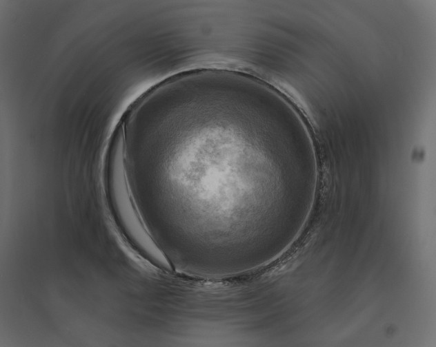 X0000094421128200711211404