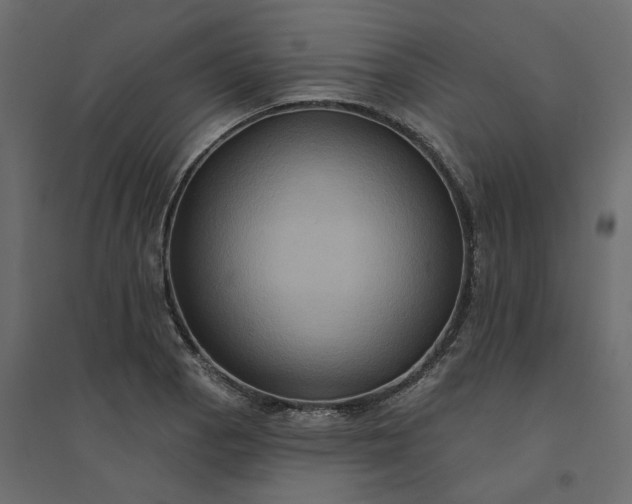 X0000094421129200711211404