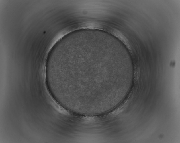 X0000094421130200711211404