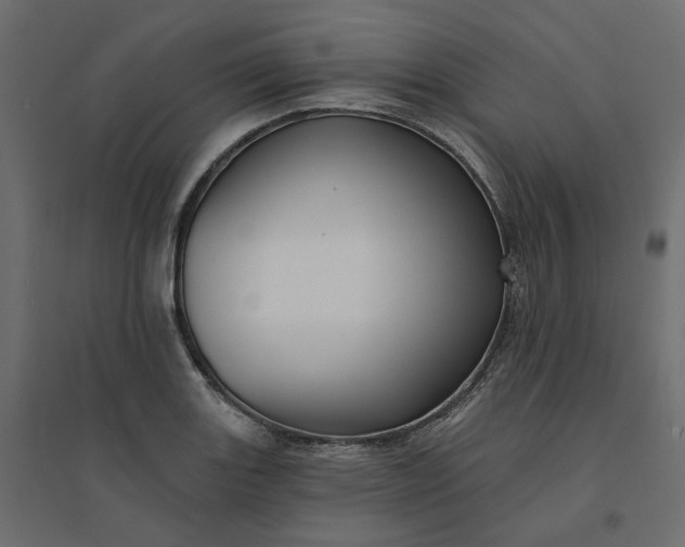X0000094421131200711211404