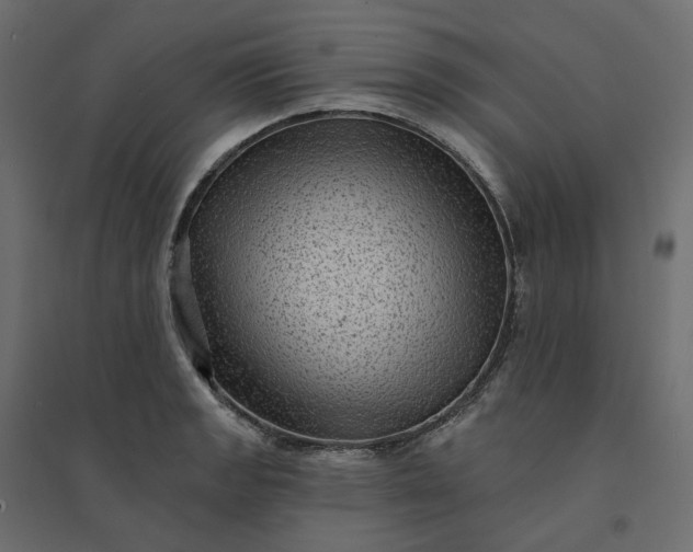 X0000094421133200711211404