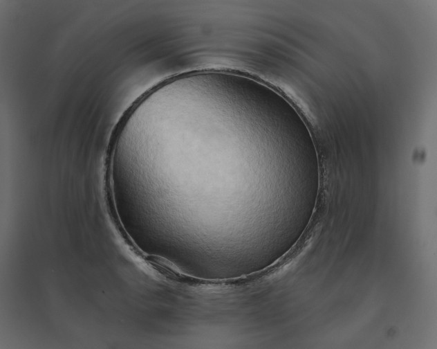 X0000094421134200711211404