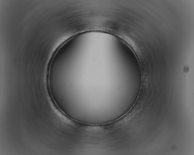 X0000094421135200711211405