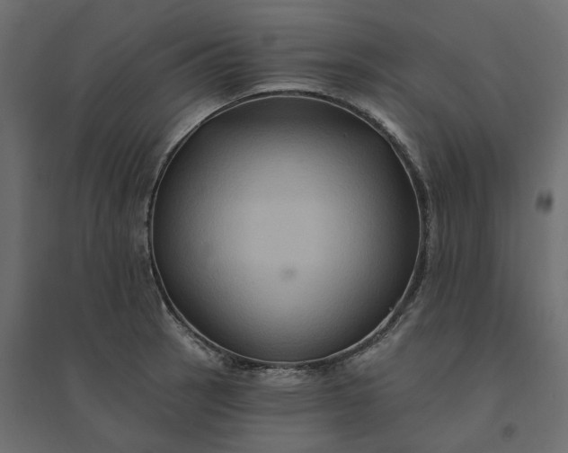 X0000094421137200711211405