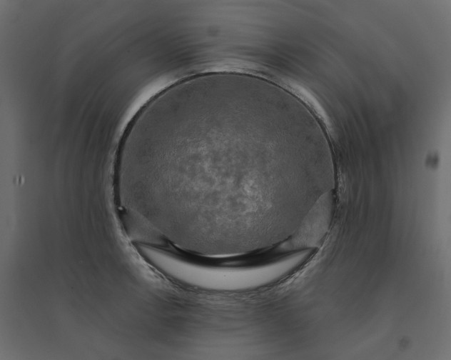 X0000094421138200711211405