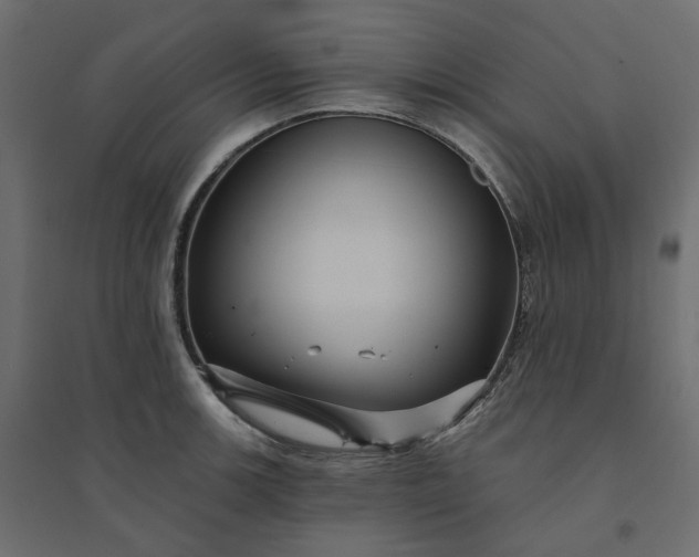 X0000094421139200711211405