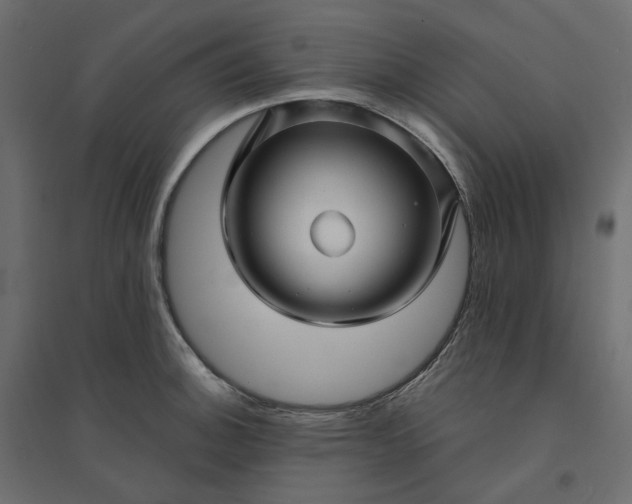 X0000094421140200711211405