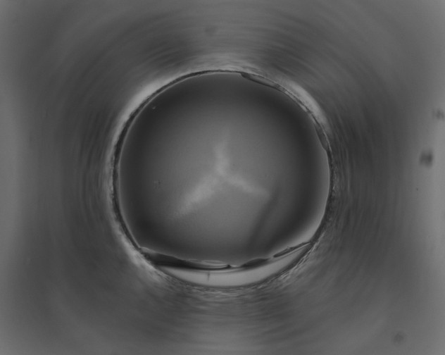 X0000094421144200711211405