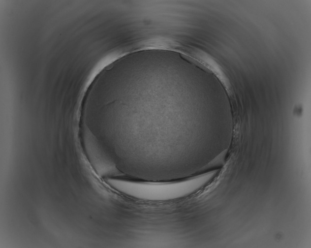 X0000094421146200711211405