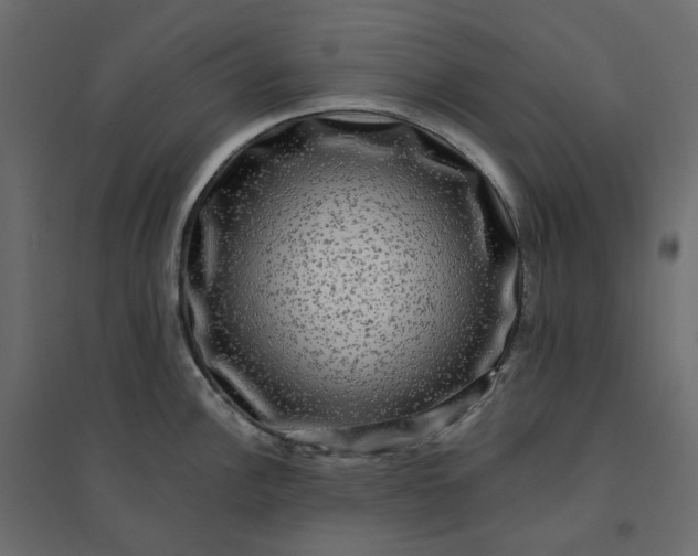 X0000094421148200711211405