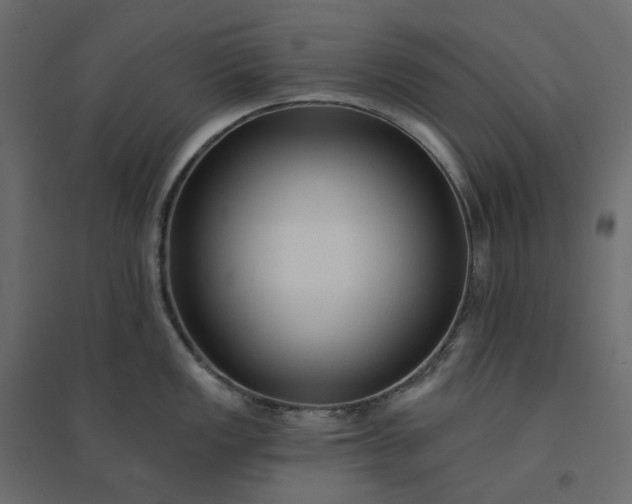 X0000094421149200711211405