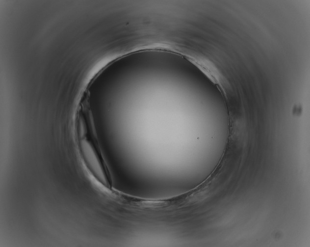 X0000094421151200711211405