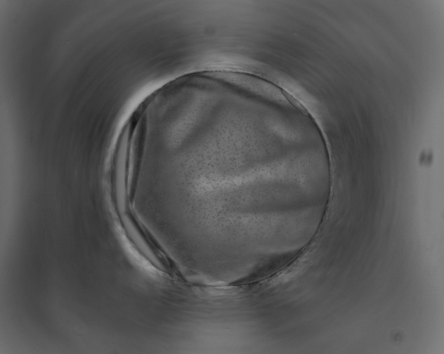 X0000094421152200711211405
