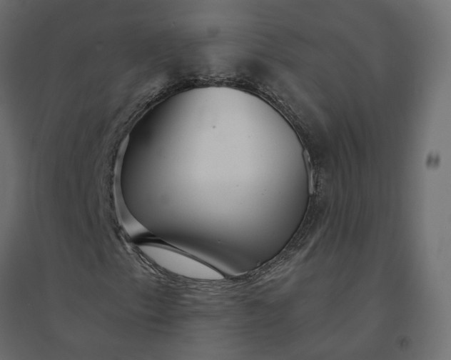 X0000094421153200711211404