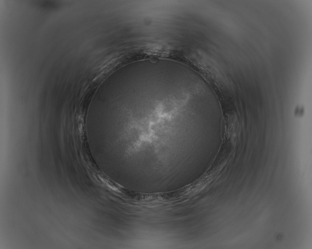 X0000094421154200711211404