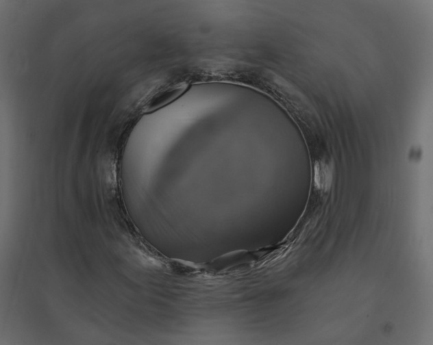 X0000094421155200711211404