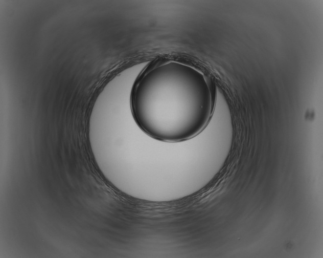 X0000094421156200711211404
