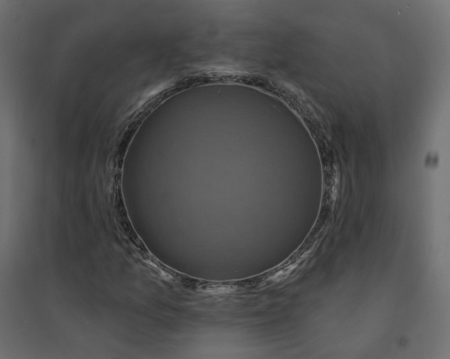 X0000094421157200711211404