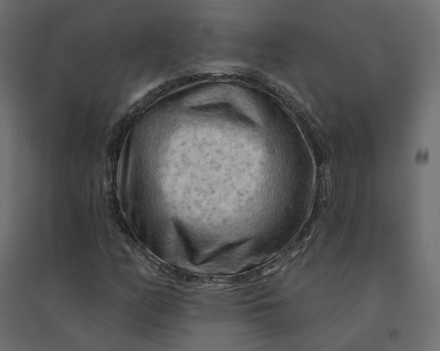 X0000094421158200711211404