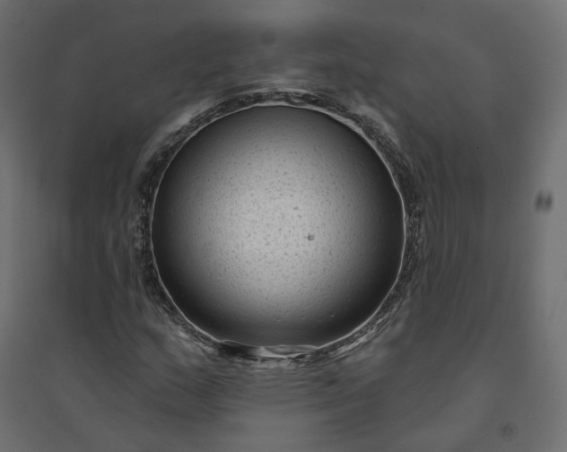 X0000094421159200711211404