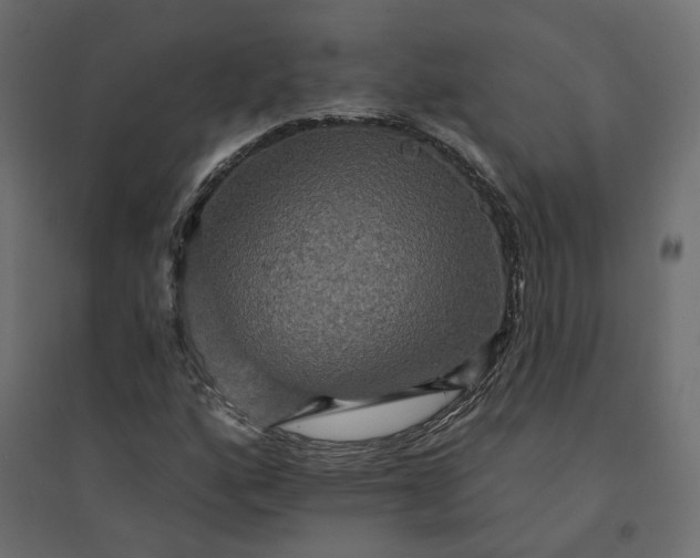 X0000094421160200711211404
