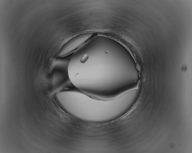 X0000094421161200711211404