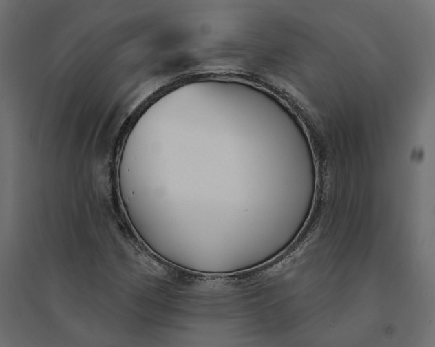 X0000094421162200711211404