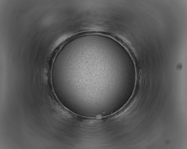 X0000094421163200711211404