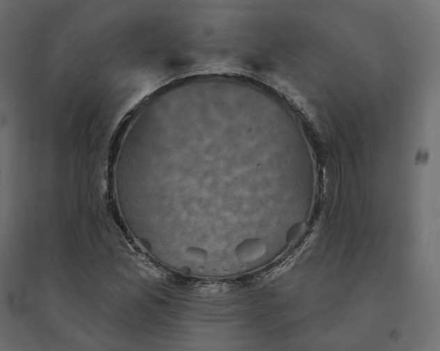 X0000094421165200711211404