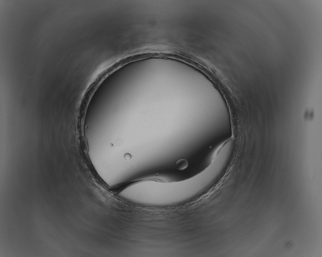 X0000094421168200711211404