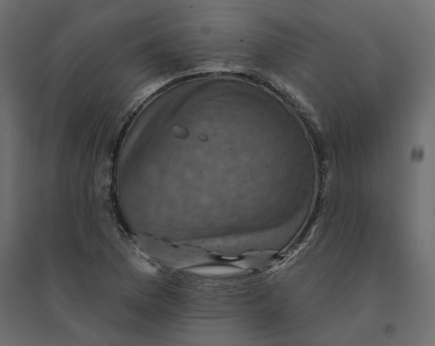 X0000094421169200711211404