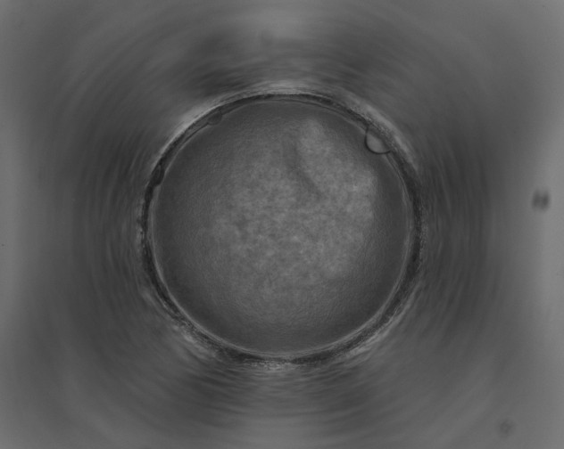 X0000094421170200711211404