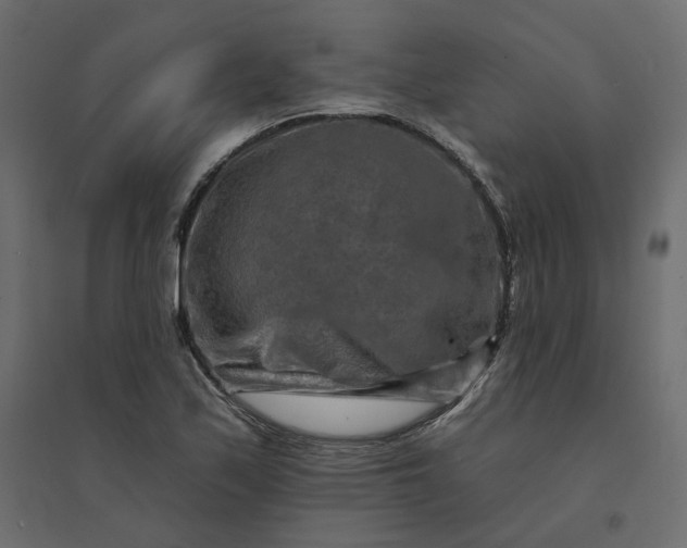 X0000094421171200711211404