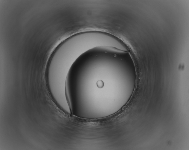 X0000094421173200711211404