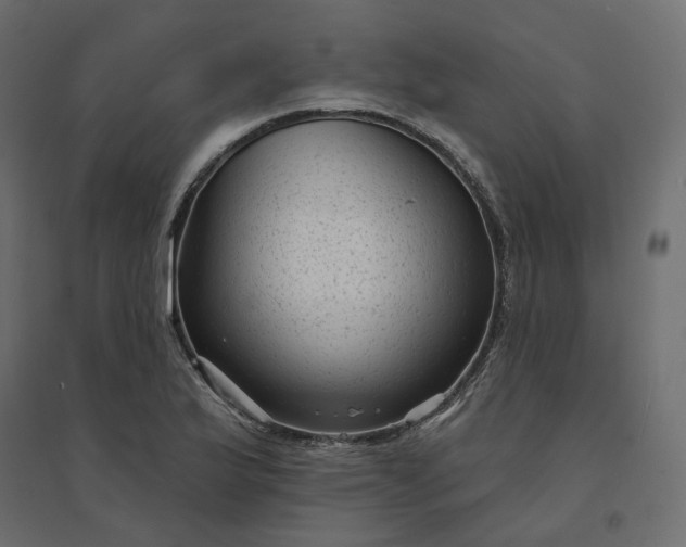 X0000094421175200711211404