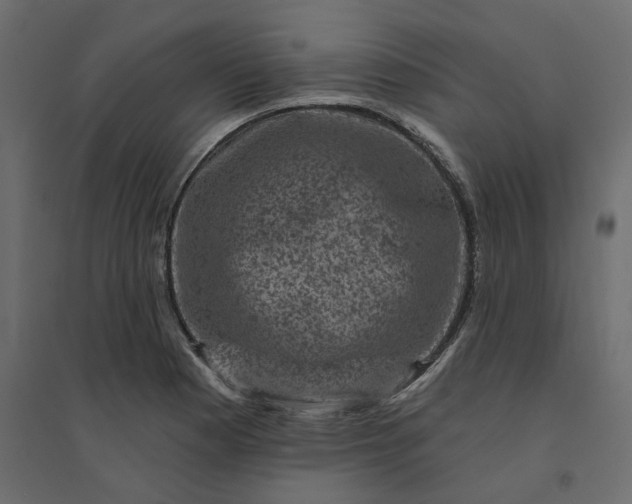 X0000094421177200711211404