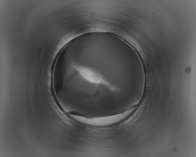 X0000094421179200711211404