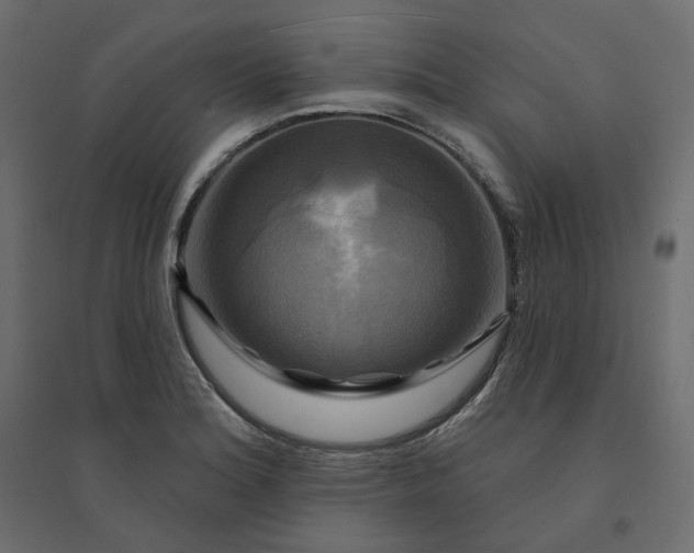 X0000094421180200711211404