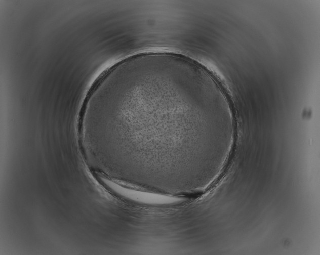 X0000094421181200711211404